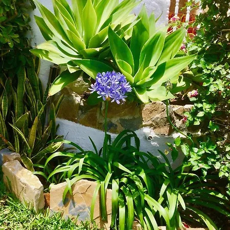 Veracruz Villa